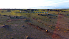 Mongolia-Gobi Steppe-Eastern Gobi Trail